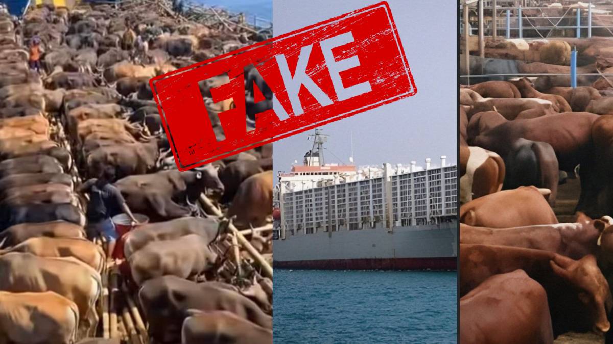Pictures being shared claimed to be from seized Indian cargo ship by Yemen's Houthi rebels