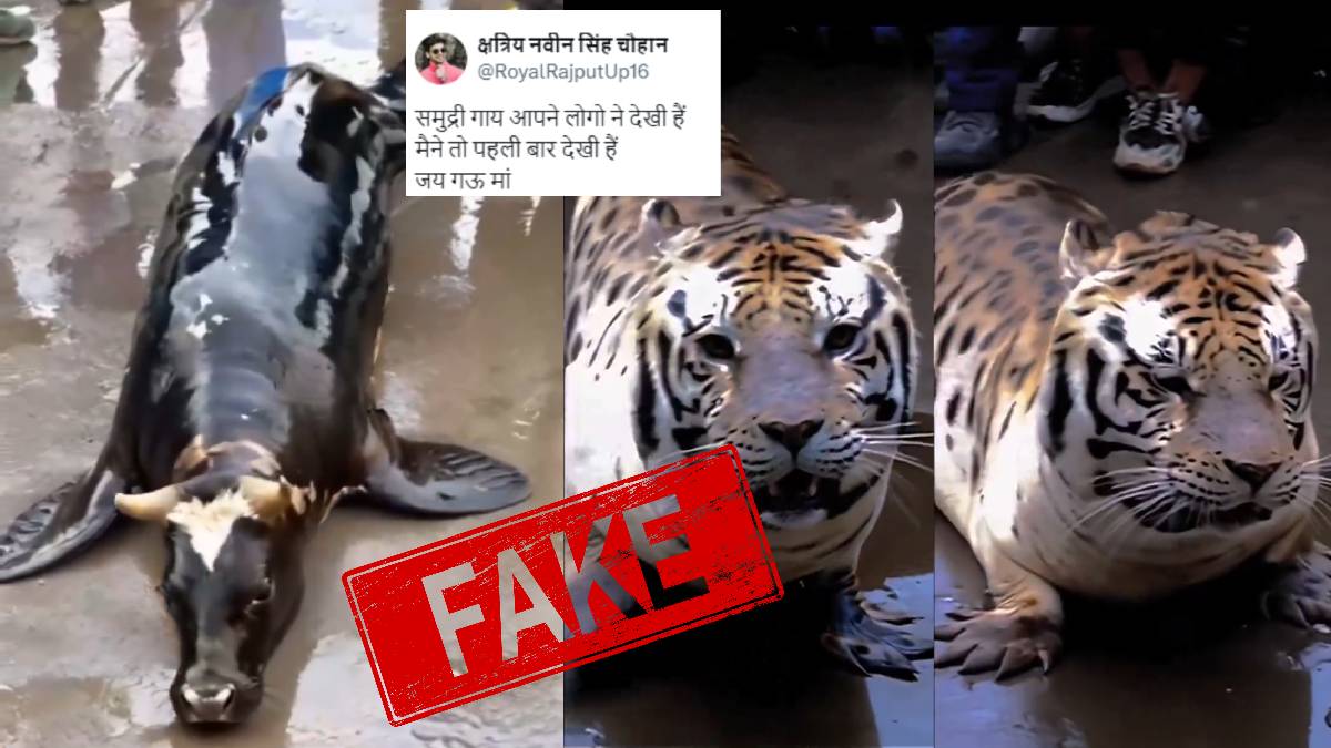 Videos of AI generated animals going viral as real