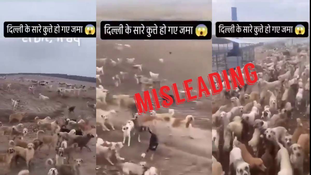 Iraq video shared with misleading claim